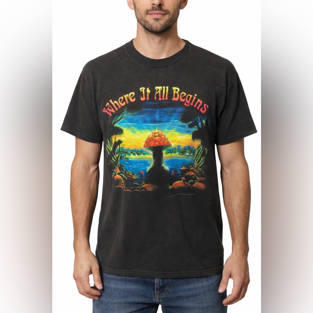 Allman Brothers Where it all begins concert tour 1994 shirt